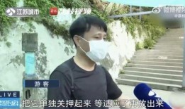 网红吃瓜被打后续,被打真相揭露，网友热议不断