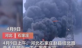保定市媒体爆料事件最新,真相背后引发社会热议
