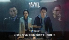 电视剧猎狐在线观看,揭秘跨境追逃背后的惊心动魄！