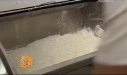 兰州牛肉爆料视频播放全集,一视频揭秘全城热爱的美食传奇