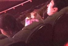 法国亲密在线观看影豆,影豆带你领略浪漫爱情电影魅力