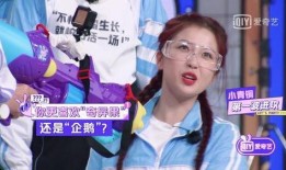 娱乐圈爆料陆柯燃,揭秘明星背后的故事