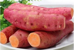 重庆烤红薯爆料案件视频,一场引发社会关注的食品安全风波