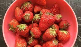 娱乐吃瓜君 草莓果酱,娱乐吃瓜君带你揭秘甜蜜背后的故事