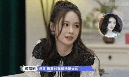 偶像女星爆料视频,独家爆料视频背后的惊人真相