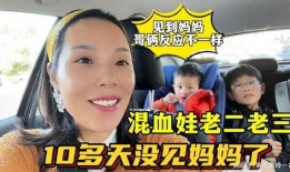 老三爆料老二视频,老三独家爆料背后的真相