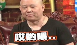 爆料刘哥历史视频播放大全,重温历史瞬间