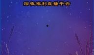 夜狼在线观看,在线观看，揭秘神秘狼群的传奇故事