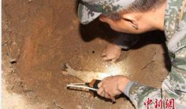 海南工地爆料事件视频,揭露现场惊人真相