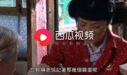 老三爆料老二视频,老三独家爆料背后的真相