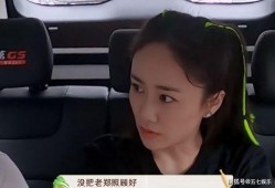 刘芸爆料郑钧生二胎视频,温馨视频记录家庭幸福时刻