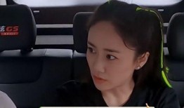 刘芸爆料郑钧生二胎视频,温馨视频记录家庭幸福时刻