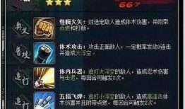 佩恩技能爆料视频大全集,揭秘神秘忍者技能奥秘