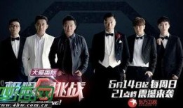 挑战在线观看,揭秘虚拟竞技的魅力与挑战