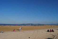 牟平海水浴场爆料案件视频,视频揭露惊人真相