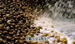 土豆分娩视频在线观看,震撼揭秘植物生命的奇迹