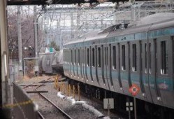 日本电车事件最新爆料,揭秘背后惊人真相