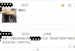 爆料图片视频下载,爆料图片视频背后的真相与下载攻略