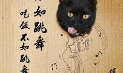 黑猫网红爆料视频大全最新,揭秘网络红人幕后真相