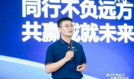新闻爆料王鑫简历介绍大全,简历揭秘，全面解析这位新闻爆料者的职业生涯