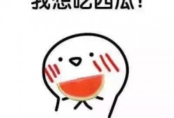 我负责吃瓜免费阅读,免费阅读背后的精彩故事