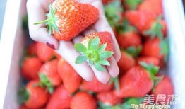 娱乐吃瓜君 草莓果酱,娱乐吃瓜君带你揭秘甜蜜背后的故事