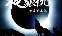 夜狼在线观看,在线观看，揭秘神秘狼群的传奇故事