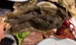 生蚝自助餐爆料视频大全,自助餐爆料视频大全大汇总