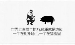 最新人文爆料文案短句,最新爆料短句集锦