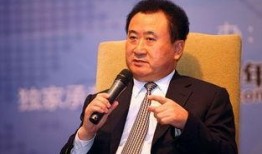 娱乐吃瓜酱王健林,从商业巨头到娱乐吃瓜酱王，揭秘他的跨界传奇