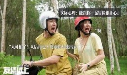 有情之上在线观看,揭秘有情之上在线观看的浪漫之旅