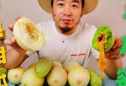 网红瓜去哪里吃比较好,揭秘瓜界美食天堂