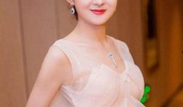 赵丽颖玉镯爆料视频,揭秘明星私藏珍宝背后的故事