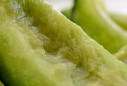 吃瓜东北老妹视频大全免费观看