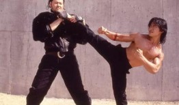 樊少皇爆料甄子丹视频,视频曝光惊人内幕