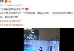 雷军爆料手机视频大全最新,手机视频大全揭秘未来科技趋势！”