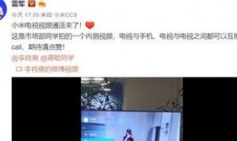 雷军爆料手机视频大全最新,手机视频大全揭秘未来科技趋势！”