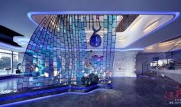 深圳摄影师爆料视频,一窥城市光影背后的故事