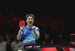 达鲁伊爆料节目视频播放,揭秘幕后故事与精彩瞬间