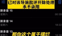爆料艺人录音怎么录视频,技术揭秘与幕后操作解析
