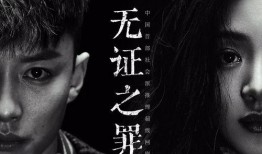 无证之罪07在线观看,真相背后，罪恶难逃