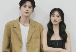 娱乐圈白鹿最新爆料,独家爆料震惊业界