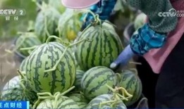 梁山大瓜爆料视频最新,最新视频爆料梁山好汉真相