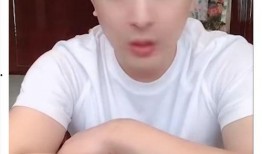 吃瓜退网的网红叫什么,揭秘背后真相与影响