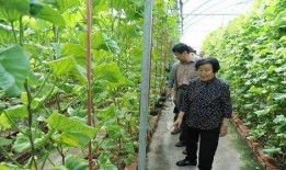 南宁的女网红吃瓜是谁,揭秘网络红人的争议瞬间