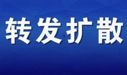 东胜新闻媒体爆料电话,揭秘背后故事