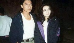 天涯主角爆料梅艳芳视频,天涯主角揭秘娱乐圈不为人知的一面