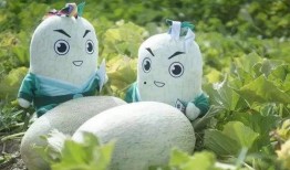 网红驯鹿吃瓜,揭秘动物界的娱乐热点