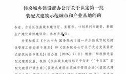 安徽阜阳热点爆料新闻,揭秘当地最新爆料新闻背后的真相