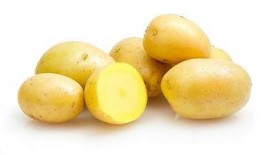 变蚊人土豆网在线观看,土豆网独家上线，惊悚科幻巨制等你揭秘